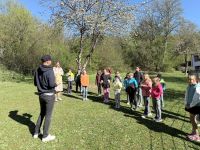 Bienen2
